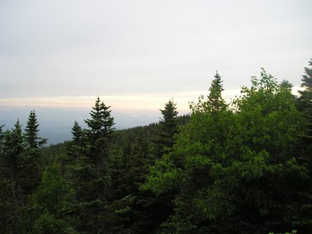 P1010046