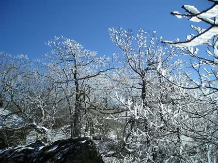 thru-hike '05 018