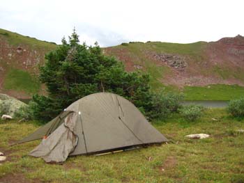 Alan Colorado 117