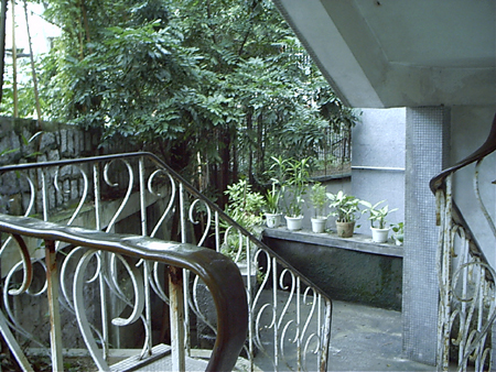 image11
