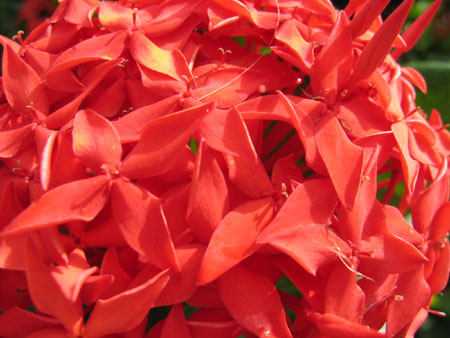 Thomas's SMI photos 020