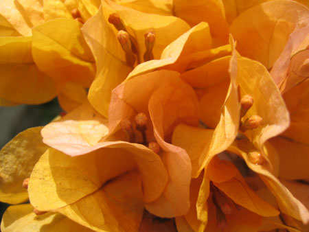 Thomas's SMI photos 021