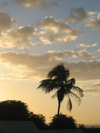 Thomas's SMI photos 023