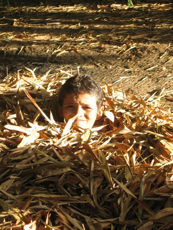 Thomas's SMI photos 092