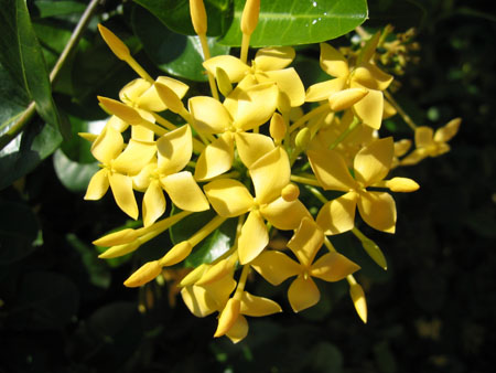 Thomas's SMI photos 365