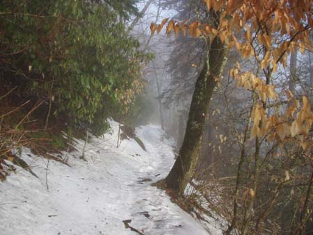 Great Smokey Mts 006